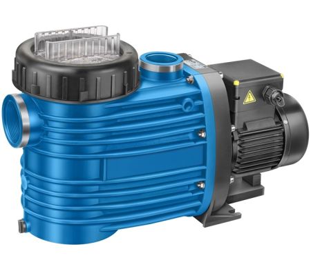 Schwimmbad Filterpumpe Badu Magna-Magna 8: P1=0,50/P2=0,30